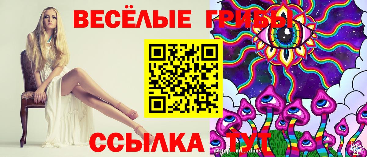 Кингисепп  Псилоцибиновые грибы GOLDEN TEACHER  Псилоцибиновые грибы прущие грибы  Вход с VPN 