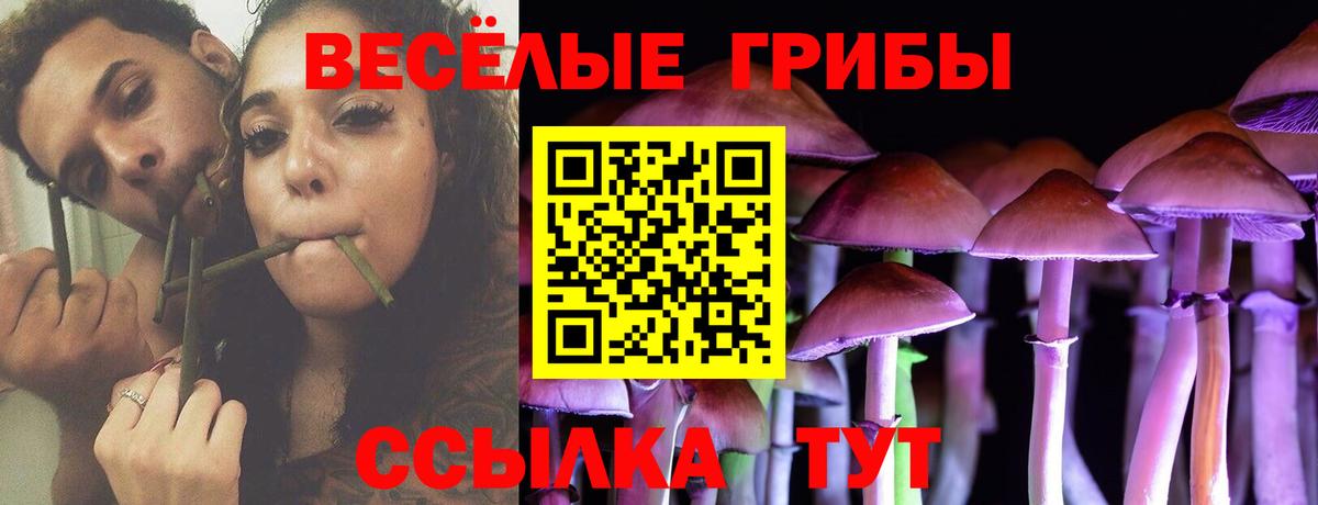 Псилоцибиновые грибы Psilocybine cubensis Кингисепп
